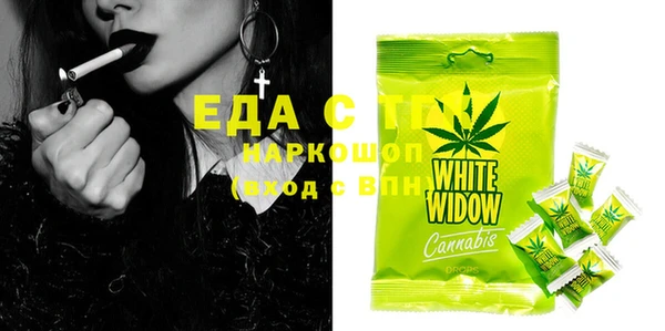 ECSTASY Алзамай