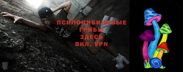ECSTASY Алзамай