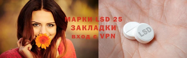 ECSTASY Алзамай