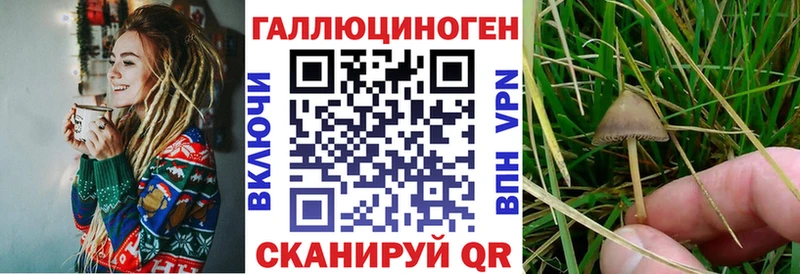 mega как зайти  Березники  Псилоцибиновые грибы ЛСД 