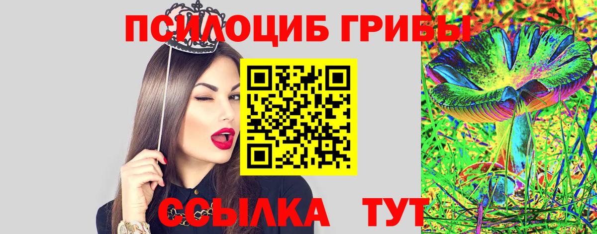 Березники  Псилоцибиновые грибы Magic Shrooms  Вход с VPN 